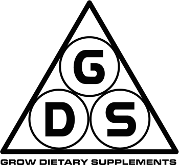 GDS logo Preto